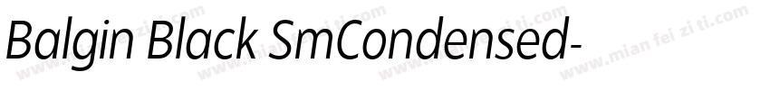 Balgin Black SmCondensed字体转换